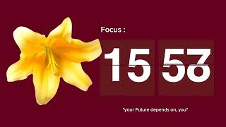 30 Minute Countdown Timer/Aesthetic Pomodoro timer/study timer/focus timer🌼🦋✨