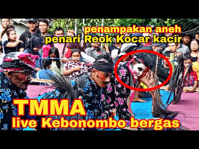 TURONGGO MUDHO MANGKU ALAM live 19 Mei 2024 di kebonombo bergas class=