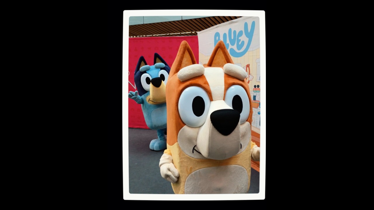 A partir del 4 de septiembre podrán disfrutar 8 capitulos de Bluey juguemos a ser chef en Cinemex