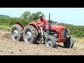 Massey Ferguson 35 "Double Butt" Ploughing w/ 4-Furrow Ferguson Plough | Ferguson Days 2