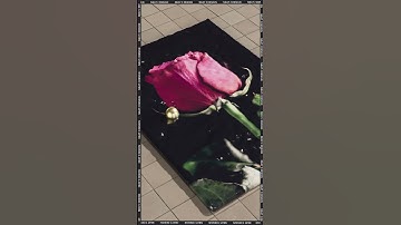 New tutorial, part 2 of the "Particles Emitting From Image Texture" tutorial, liquid version. #3d