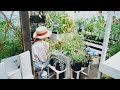 整理する花の棚diy｜虫除け対策のための手作りスプレー