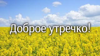 ❤️❤️❤️ПОЖЕЛАНИЕ НА ВЕСЬ ДЕНЬ❤️❤️❤️ С Добрым Утром Хорошего Дня. Доброе Утро! СТИХ