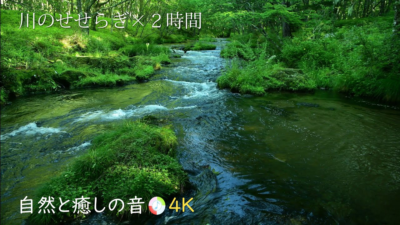 【自然の音】緑の森林と川のせせらぎ、癒し、睡眠、リラックス、作業用BGM/River Sound/Nature Sounds/ASMR/4K ...
