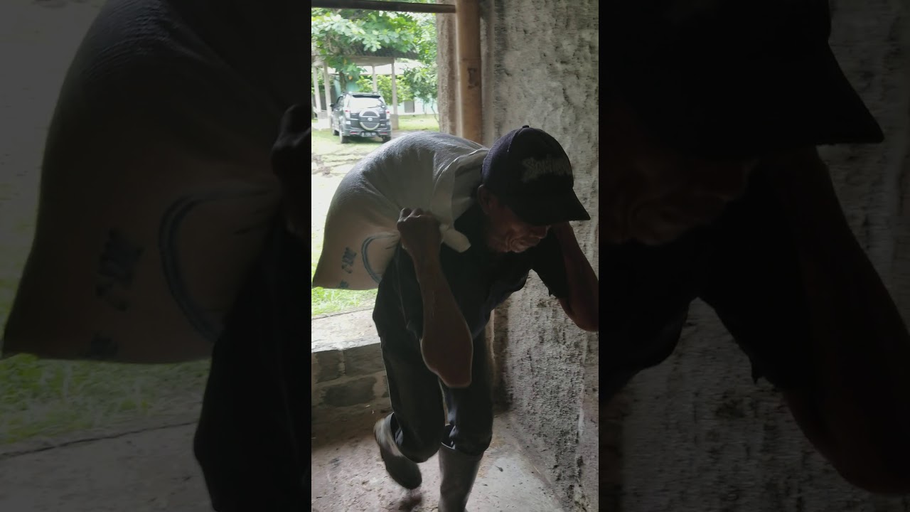 Budidaya Bebek di Rumpin, Bogor 