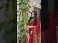 Ghar Me Ugaaye Lauki Ke Paudhe Se Shandaar Decoration #HomeDecor #LaukiPlant