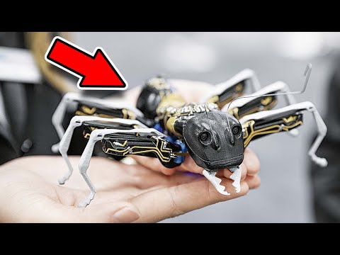 Video: Úžasná Robotická Zvířata Dobývají Svět