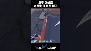 어센트 요루 수비 A 발전기 분신 기만 버그 [발로란트]