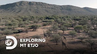 Exploring Mt Etjo | Return of the Cheetah | Discovery Channel Southeast Asia