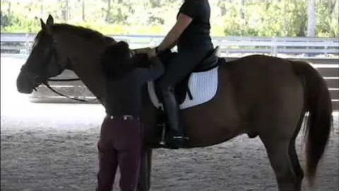 Dressage Trainer Jane Savoie Explains Elastic Cont...