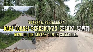 PERKEBUNAN KELAPA SAWIT || PERJUANGAN KELUAR DARI LOKASI KEBUN MENUJU JALAN LINTAS TIMUR SUMATERA