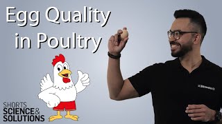 8 Ways to Improve Egg Quality