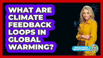 What Are Climate Feedback Loops In Global Warming? - Weather Watchdog