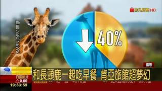 肯亞長頸鹿莊園Giraffe Manor 和長頸鹿一起早餐加拿大神秘的 ...