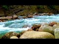Relaxing Nature Sounds Mountain River | Sleep, Study, Focus | White Noise Stream