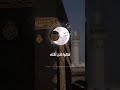 قال اني لا يحزنني ان تذهبوا به الشيخ السيد سعيد قرآن ارح قلبك السيد سعيد