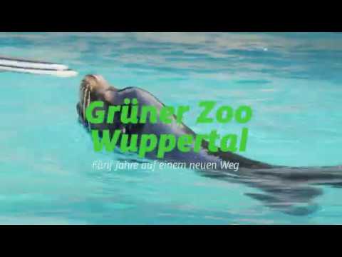 Grüner Zoo Wuppertal: Jetzt besuchen!