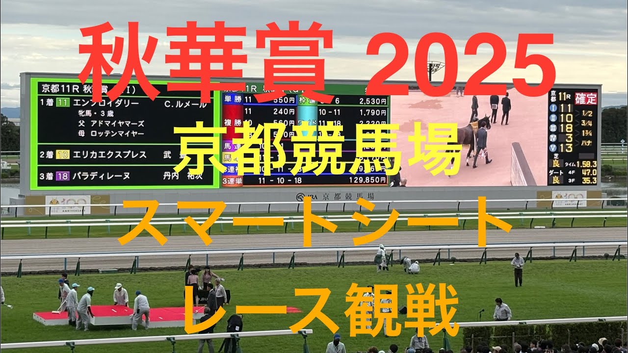 京都競馬場　スマートシートB  秋華賞　パドック　返し馬　レース観戦VIEW
