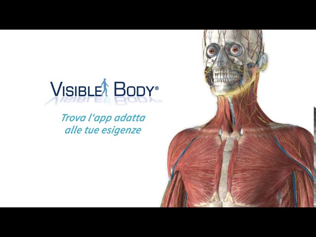 Atlante anatomia interattivo Visiblebody Scontato - Mdm Fisioterapia