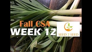 SEED2SEED FALL CSA WEEK12