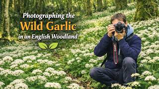 A Relaxing Walk Through England’s Wild Garlic Woods