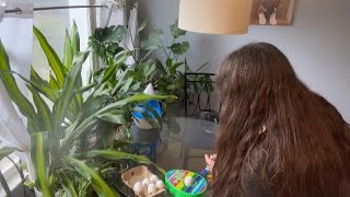 Famous Eggmazing egg decorator, easy to use? #amazoninfluencer #ad #watch Wealth