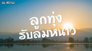 ลูกทุ่งรับลมหนาว ชุดที่ 5 | รวมศิลปิน | #ทนหนาวอีกปี #ล่องเรือหารัก #แผลรักสลักใจ