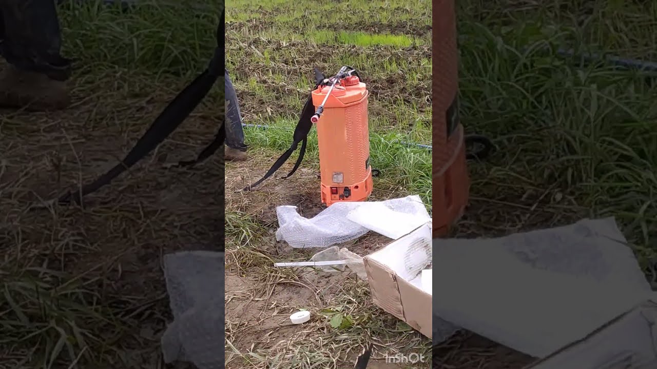 Flotech 2hp 10 Stage Installed 40 Feet Bore Mrbeast Trending Tseries