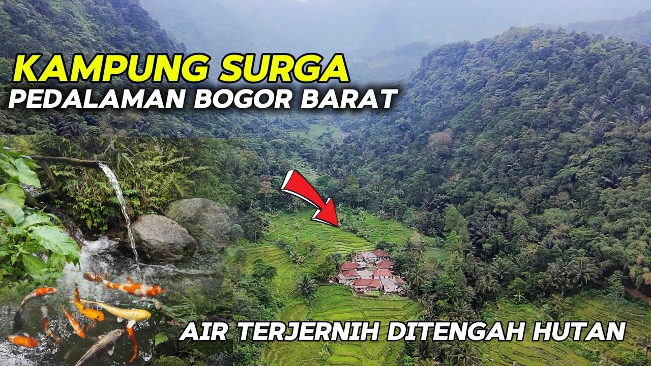 PEDALAMAN BOGOR SURGA TERSEMBUNYI DIPELUKAN ALAM HUTAN DAN PEGUNUNGAN BOGOR JAWA BARAT