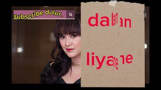 Lirik Dalan Liyane Happy Asmara Lagu Jawa Terbaru merapizonemusik2412