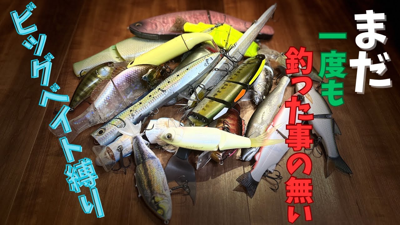 まだ一度も釣った事の無いビッグベイト縛り【バス釣り】 - YouTube
