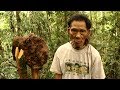 Complex Signs Used By The Penan To Communicate - Tribe With Bruce Parry - BBC