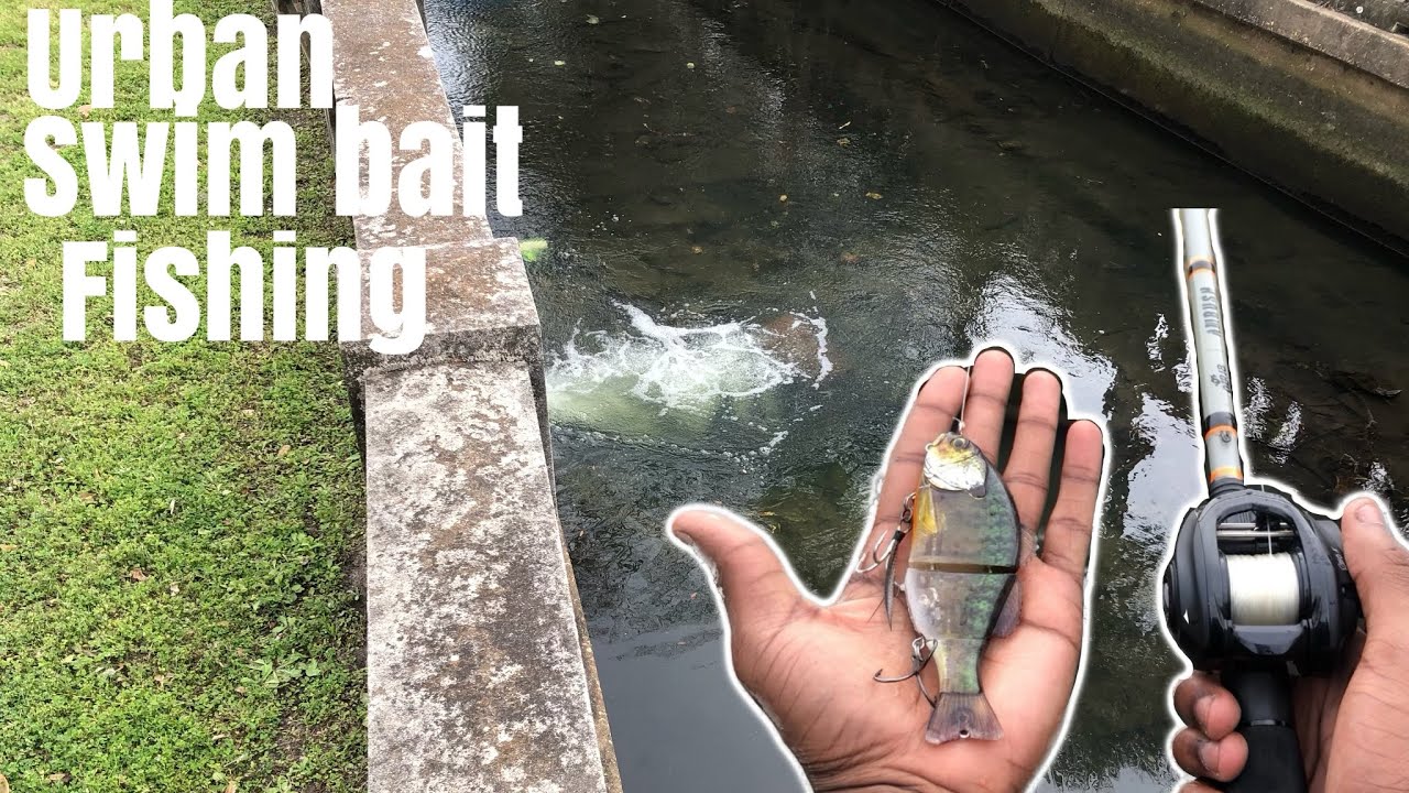 Fishing swim bait in urban creek!!!…………..(Jacksonville Florida) YouTube