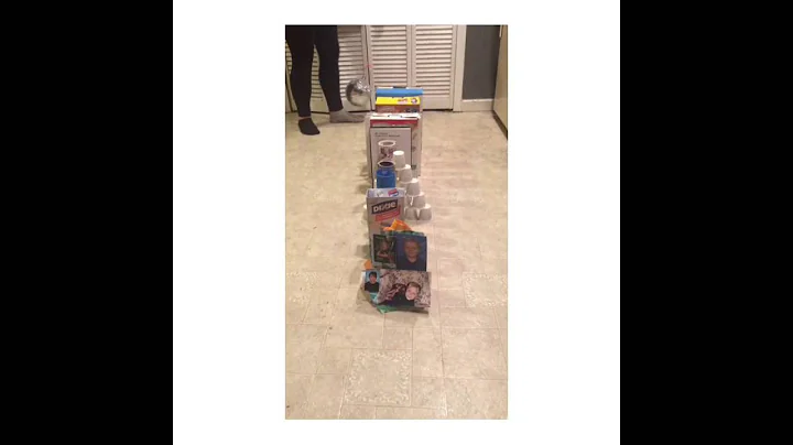 Rube Goldberg Video