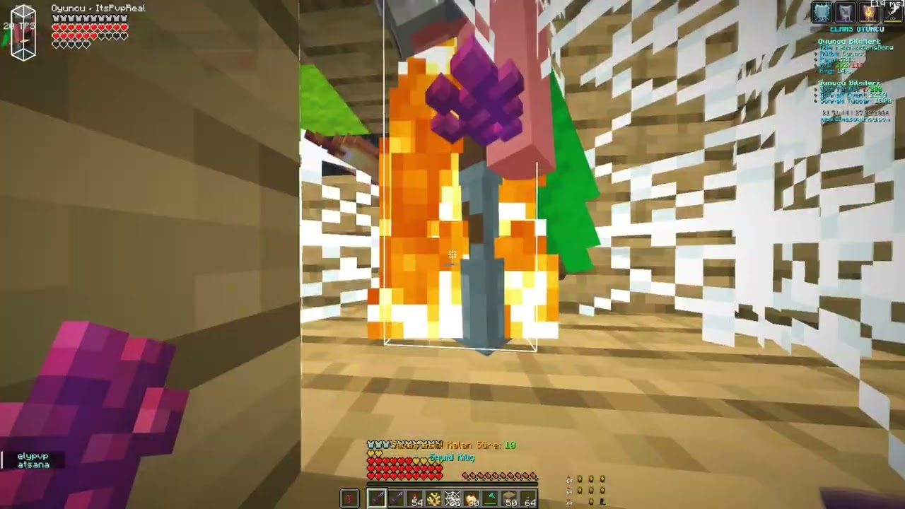 mc.elmasoyuncu.me #5 PainMC