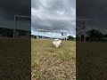 体育5やと思ったら道徳1