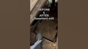 EXTREME BASEMENT DECLUTTER‼️🧹👷🏽‍♀️🗑️ MOLD, WEBS, MESS🕸️🕷️Before & After
