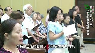 聖詩216首 活命的餅為憐憫擘破