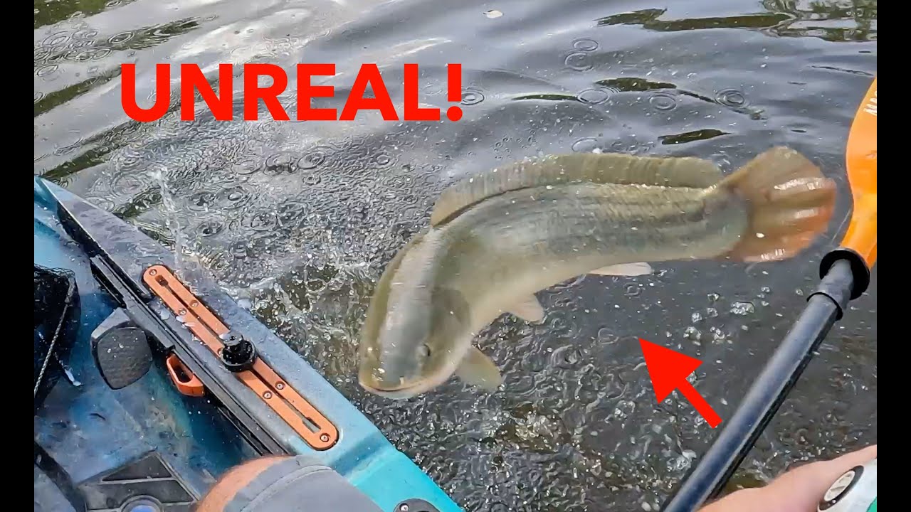 BIG BASS and UNEXPECTED BITES!