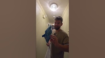 This baseboard Pro mop makes it so easy to clean baseboards! #baseboardpro #mop #cleaning