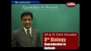 AP & TS State Board Syllabus | 8th Biology | Reproduction in Animals | Live Video AP & TS State Board Syllabus | 8th Biology | Reproduction in Animals | Live Video