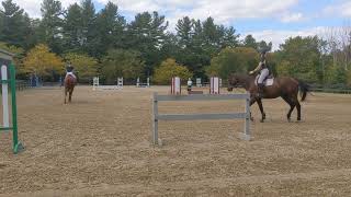 Nemo and Ruby cantering