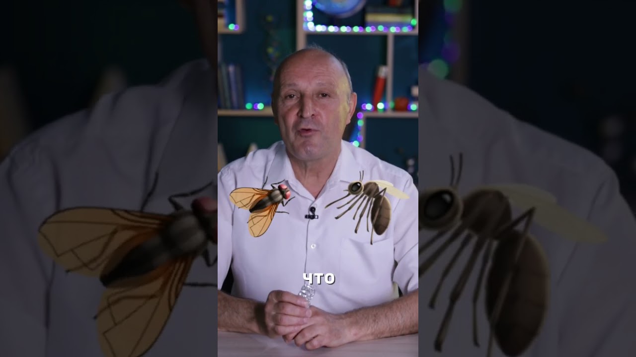 ИЗ МЕТАЛЛА МОЖНО ПОЛУЧИТЬ ЛЕКАРСТВО ОТ ЛЕЙШМАНИОЗА?