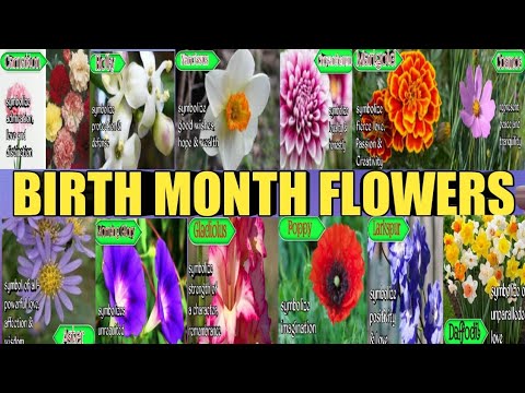 Lucky BIRTH MONTH FLOWERS | Ano Ang Kanilang Simbolo At Kahulugan