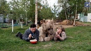 Медведь Степан Медведь Степан