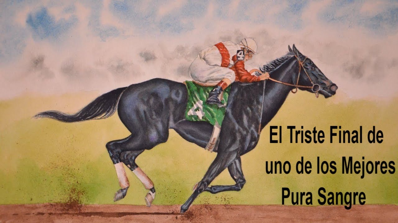 Ruffian, la historia de la mejor Yegua de Carreras 🏇🏇 - YouTube