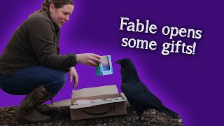 Fable the Raven | Gifts for Fable!