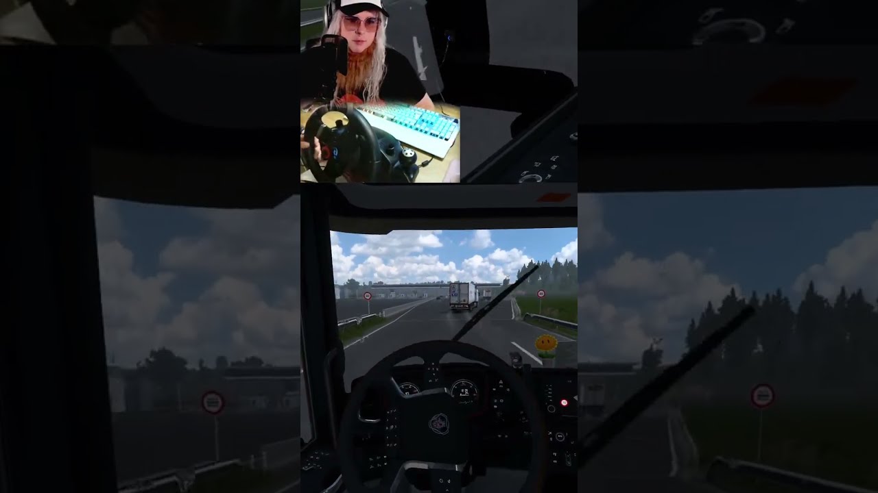  Euro Truck Sim 2 Funny Moments Alle Super Klein Problem Crash B Das Mufflon Auf Twitch