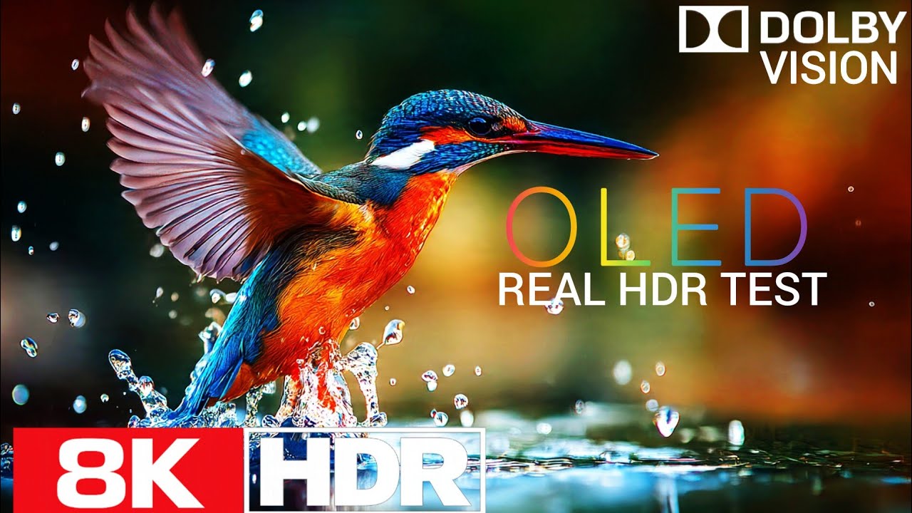 8K HDR Dolby Vision – Real Wildlife Colors for OLED TV | Infinite Contrast Demo