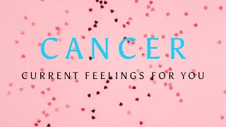 CANCER ♋️ THE ONE WHO IS KEEN ON YOU WANTS TO KNOW THIS ABOUT YOU  …. May 2024